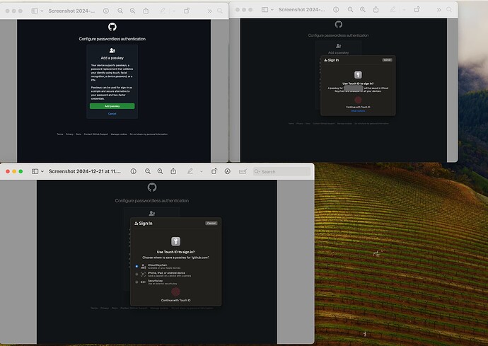 Screenshot 2024-12-22 at 09.12.53