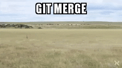 merge