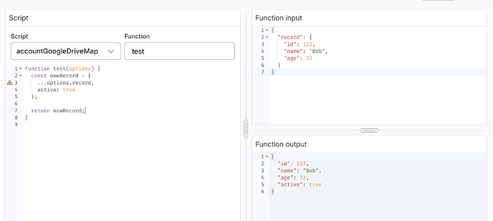The image shows code defining a JavaScript function named 'test' that takes an 'options' parameter, returns a modified record with an added 'active' status, alongside examples of function input and output. (Captioned by AI)