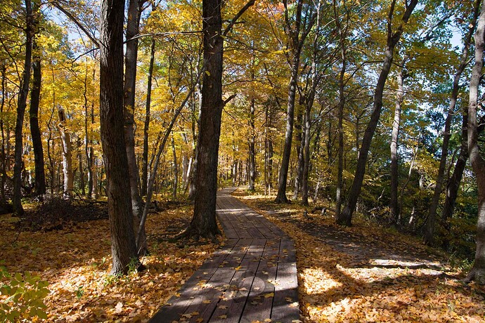 WoodenWalkway