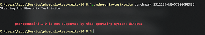 Screenshot 2023-12-13 222953