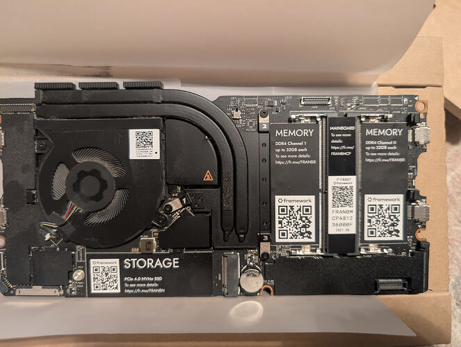 PXL_20251102_034649896