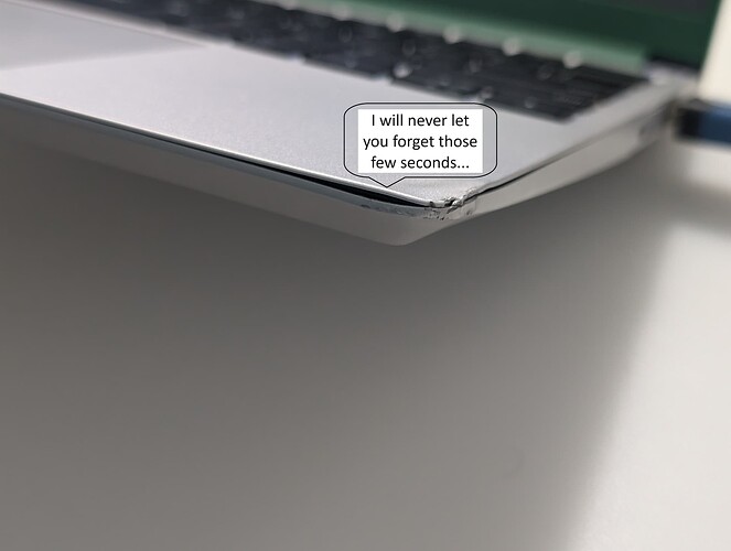 My poor dinged laptop