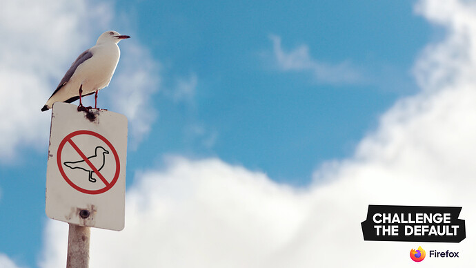 fx_CTD_zoom-bg_bird