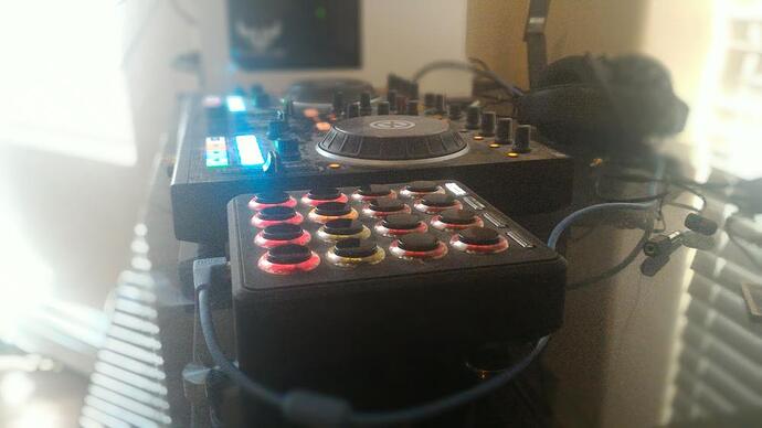 midi 2.jpg