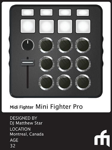 Mini Fighter Pro.jpg