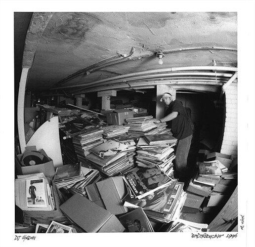 8f07f021-large.jpg