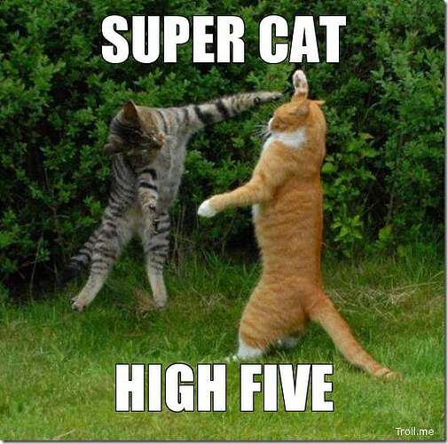 super-cat-high-five.jpg
