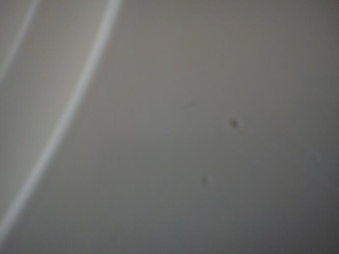 DSC00092.jpg