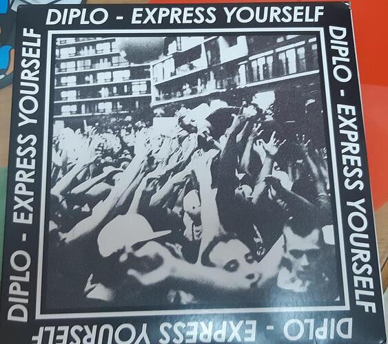 diplo CV.jpg