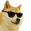 :doge: :doge: