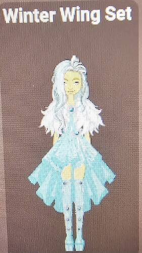 Winter Wing Set