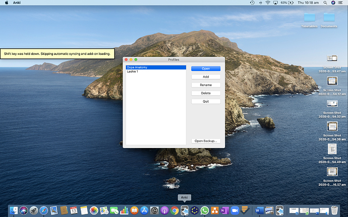 Screen Shot 2020-08-13 at 10.18.15 am