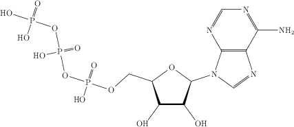 ATP