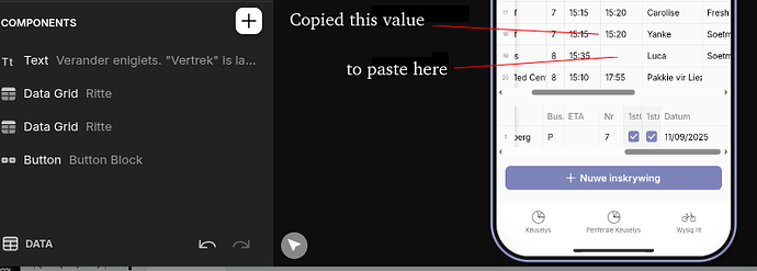 Data grid before paste