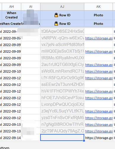 rowID not able to update in Google Sheet
