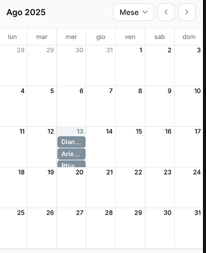 Screenshot 2025-08-13 alle 10.15.33