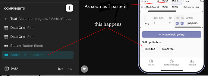 Data grid after paste