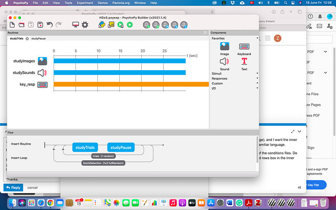 Screen Shot 2021-06-18 at 12.58.53
