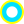 bullet