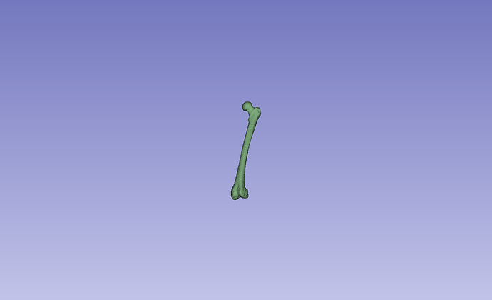 full femur with 1 x scribble and 2 x point