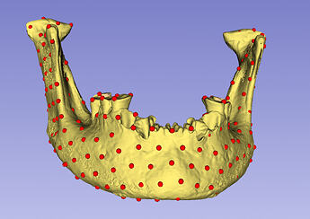 Ekran Resmi 2025-11-25 16.47.50