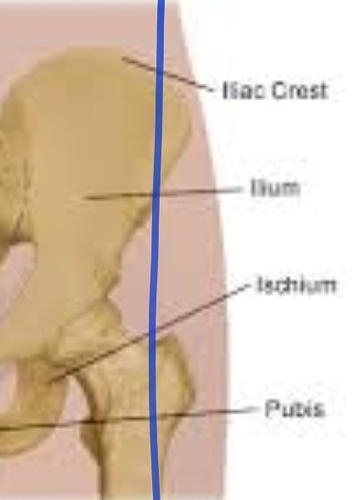 Screenshot_20191024-005101_Chrome