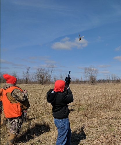 Pheasant%20Hunt1