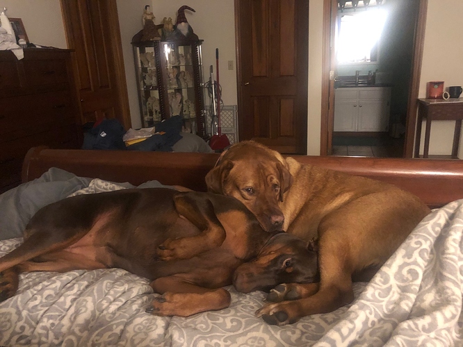 the boys