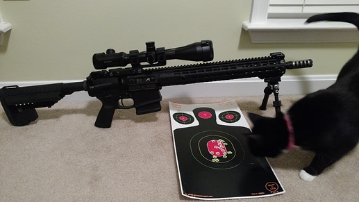 Z-SPR