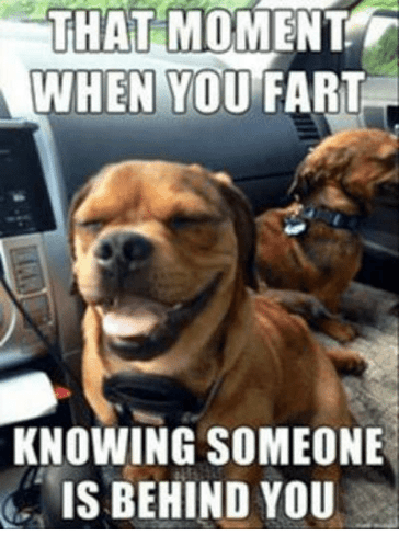 that-moment-when-you-fart-knowing-someone-is-behind-you-5707781