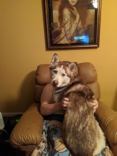 IMG_20200219_200216_1