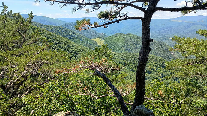 IMG_20260621_123615163_HDR