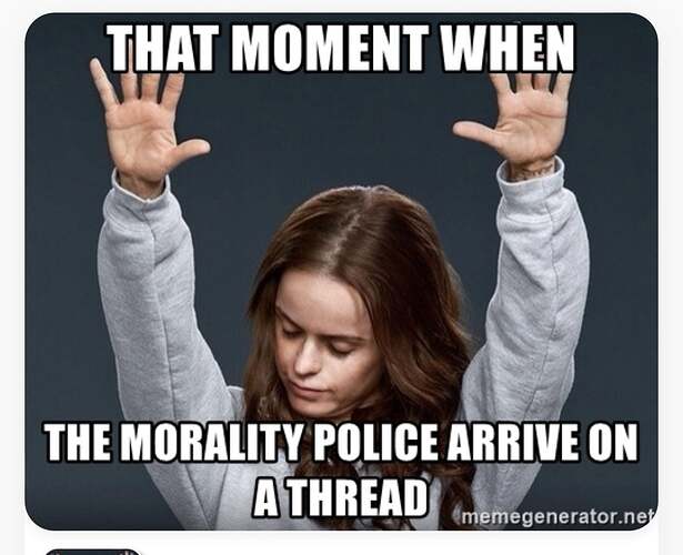 8313008_original (1)