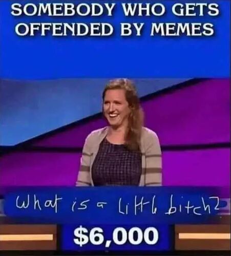 Meme Bitch