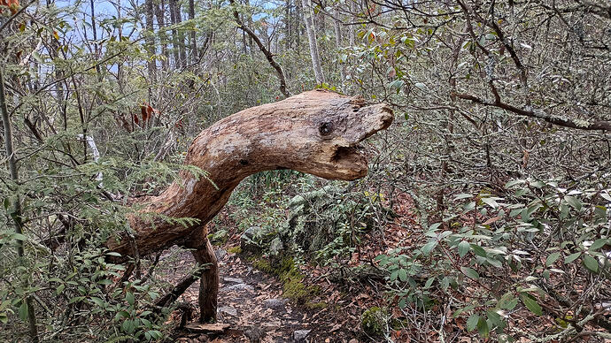 IMG_20260106_134725452_HDR