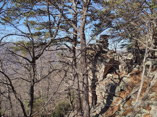 IMG_20241124_124313221_HDR