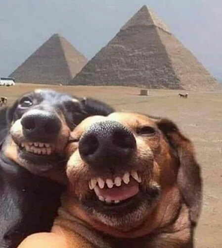 Screenshot_20210711-112836