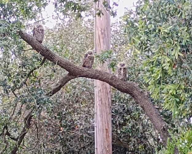 IMG_20250716_072201419_AE