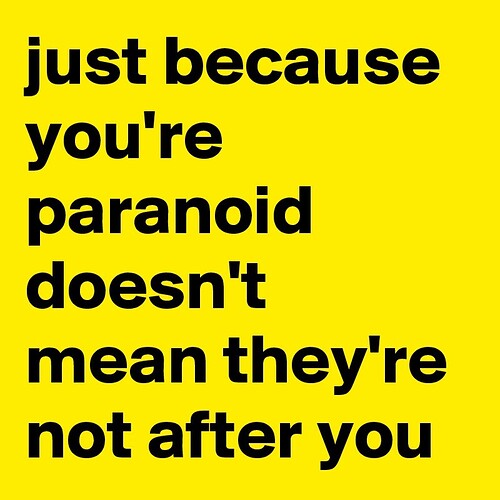 just-because-you-re-paranoid-doesn-t-mean-they-re