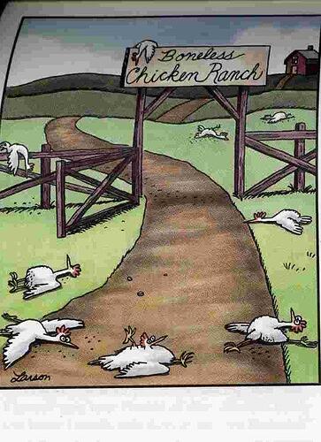 BonelessChickenRanch