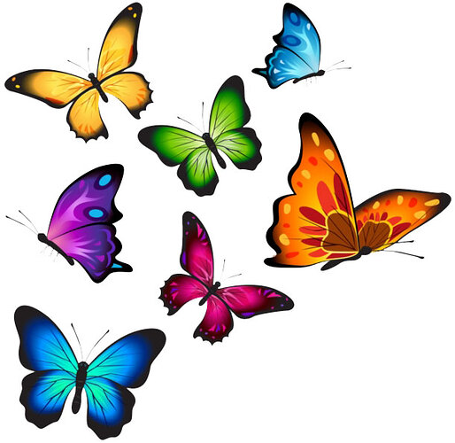 butterflies2