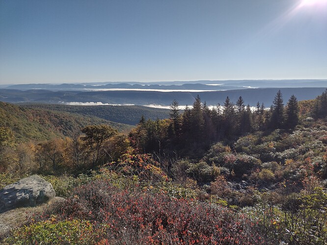 IMG_20241008_085408058_HDR