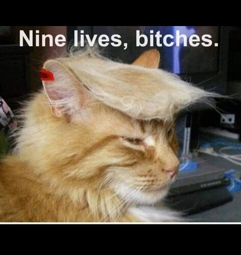 Nine lives