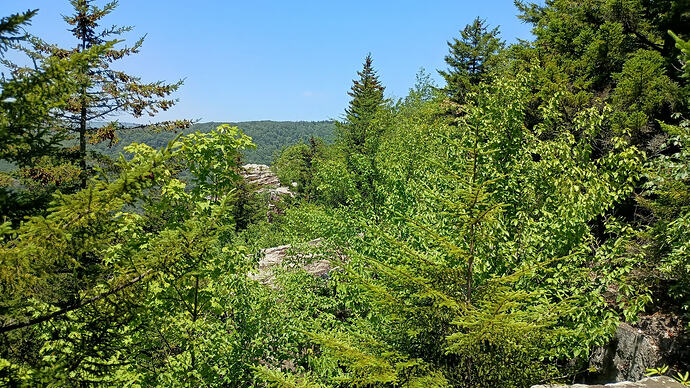 IMG_20260701_125139554_HDR