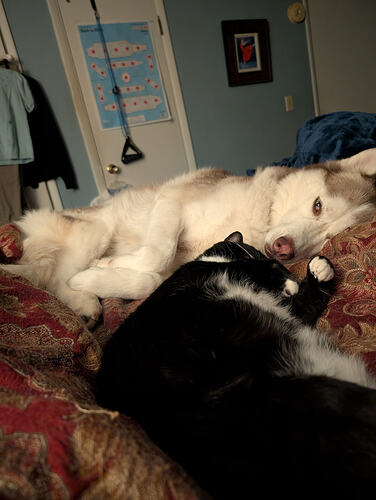 PXL_20260106_062145802