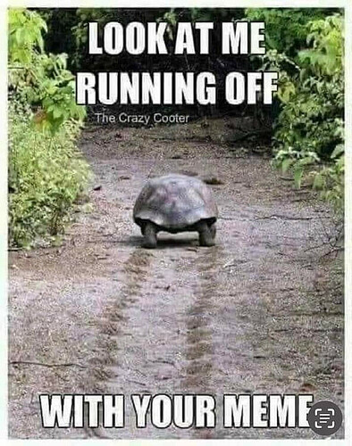 Run