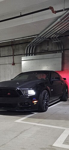 Mustang