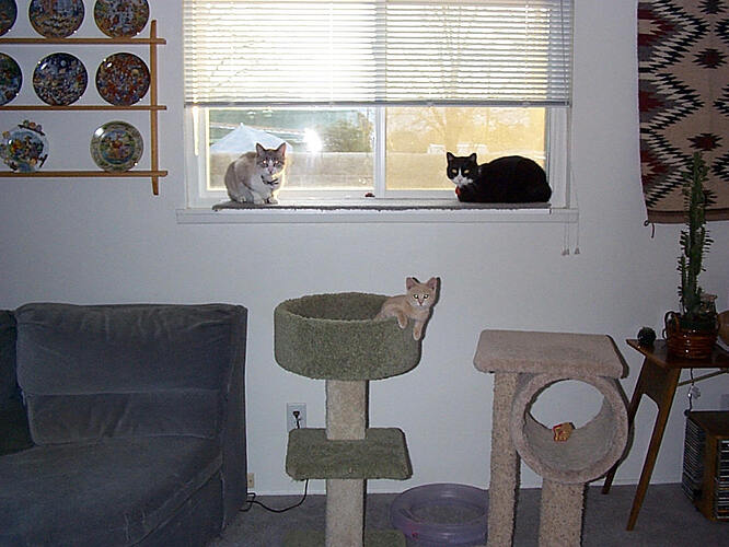 Jesse, Holly & Sam