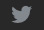Twitter45x30